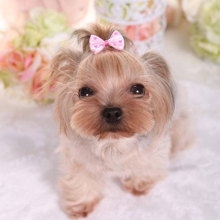 3pcs Cute and Stylish Pet Hair Clips for Small Dogs and Cats - Set of Adorable Hair Bows with Secure Clips for Easy Grooming and Fashionable Looks.