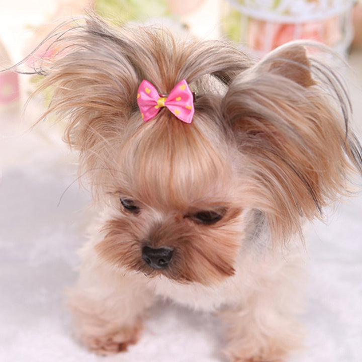 3pcs Cute and Stylish Pet Hair Clips for Small Dogs and Cats - Set of Adorable Hair Bows with Secure Clips for Easy Grooming and Fashionable Looks.