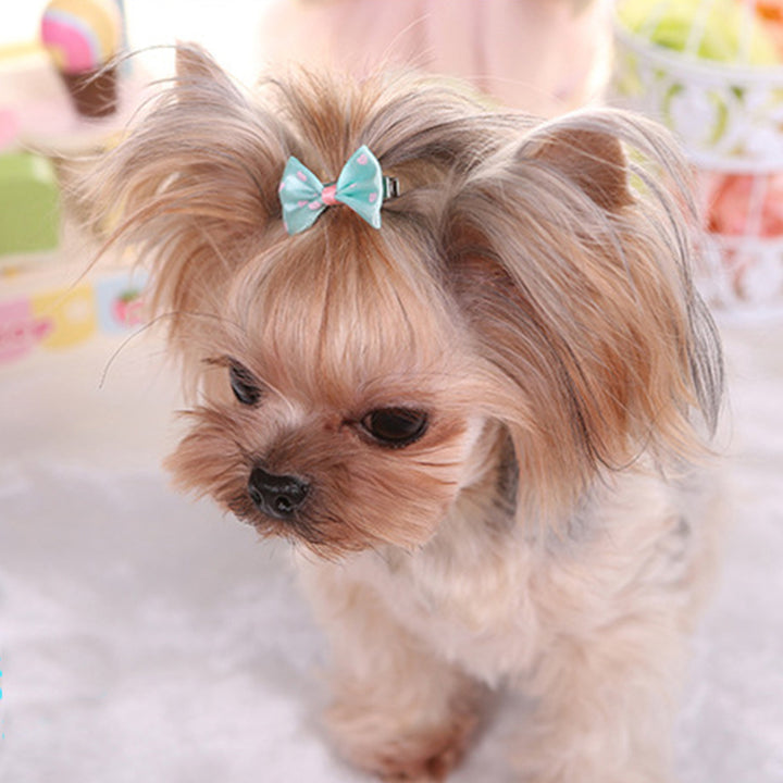 3pcs Cute and Stylish Pet Hair Clips for Small Dogs and Cats - Set of Adorable Hair Bows with Secure Clips for Easy Grooming and Fashionable Looks.