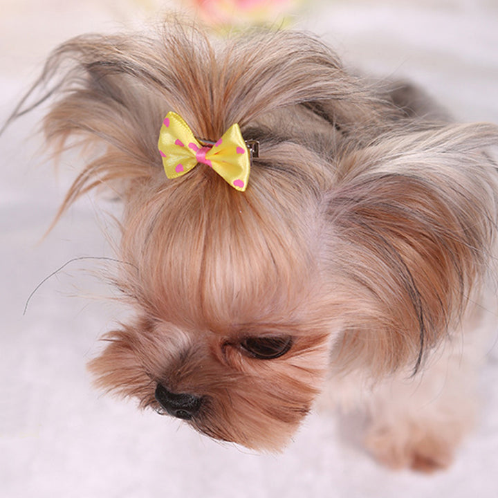 3pcs Cute and Stylish Pet Hair Clips for Small Dogs and Cats - Set of Adorable Hair Bows with Secure Clips for Easy Grooming and Fashionable Looks.