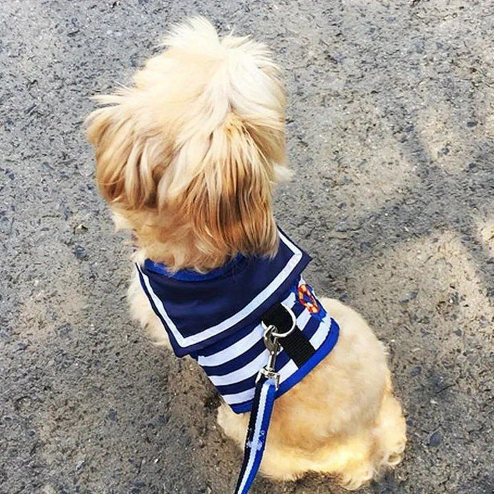 Navy Suit Dog Harness | Adjustable collar set 🐾