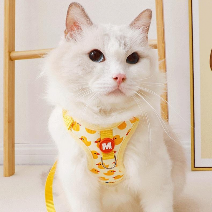 Cartoon Duck Harness and Collar for Dogs and Cats