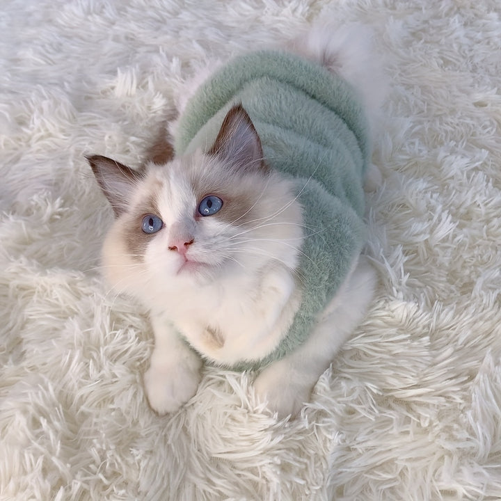 Adorable Autumn and Winter Cat Vest | Hot and thick