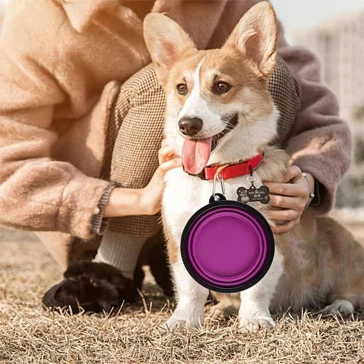 Portable Pet Food Bowl: Foldable & Durable TPR Bowl For Dogs & Cats