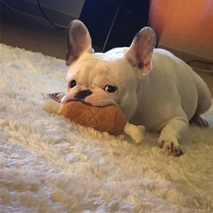 Squeaky Toy, Plush Chew & Teeth Cleaning