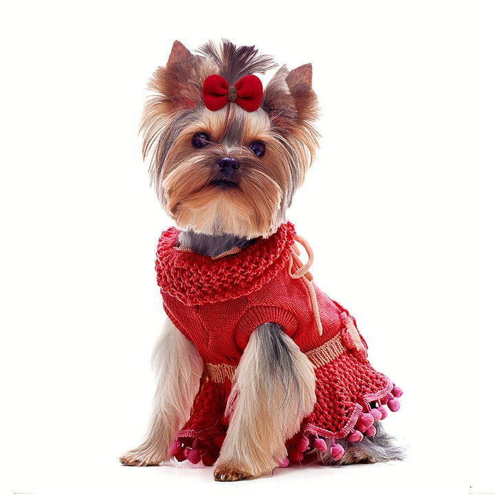 10 Pieces of Cute Dog Hair Bows | For grooming 🐾