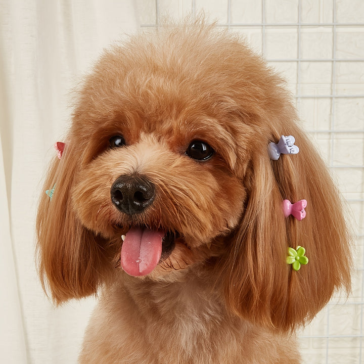 12 Adorable Cute Hair Clips for Small Dogs