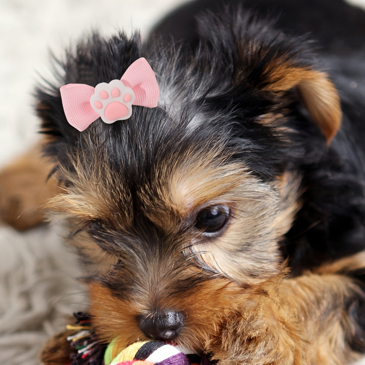 10 Pieces of Fancy Pet Hair Bows | for pets🐾