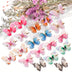 Pack of 10 Two-Tier Clear Butterfly Hair Clips