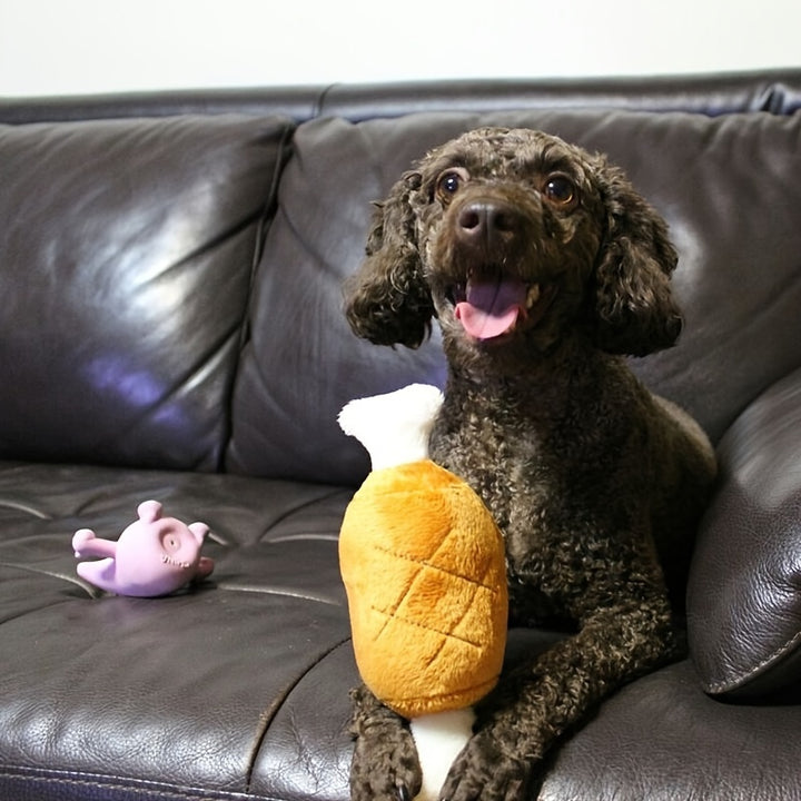 Squeaky Toy, Plush Chew & Teeth Cleaning