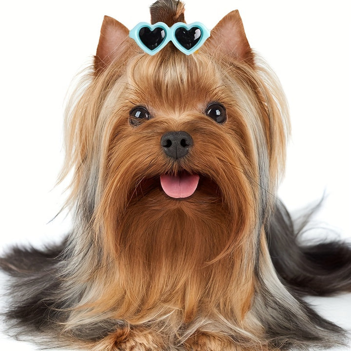 4 Pieces of Cute Pet Hair Accessories - Cute