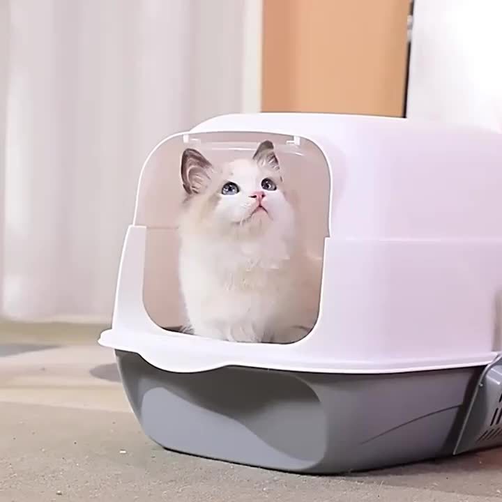 Closed cat litter box| Odor blocking and leak proof 🐾