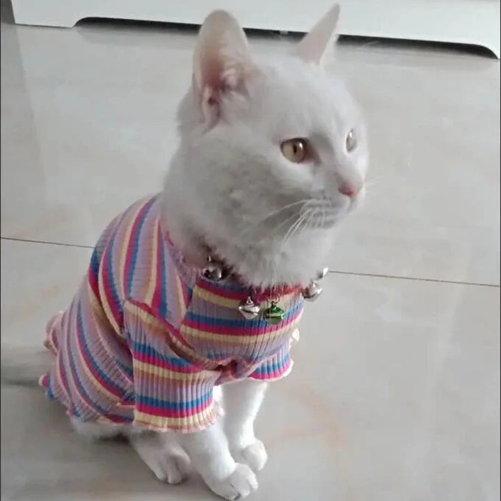 Colorful Stripe Sphynx Cat Vest Shirt for Small Cats Katten Kedi Cotton Puppy Dog Pet Clothes mascotas Clothing ropa para gatos