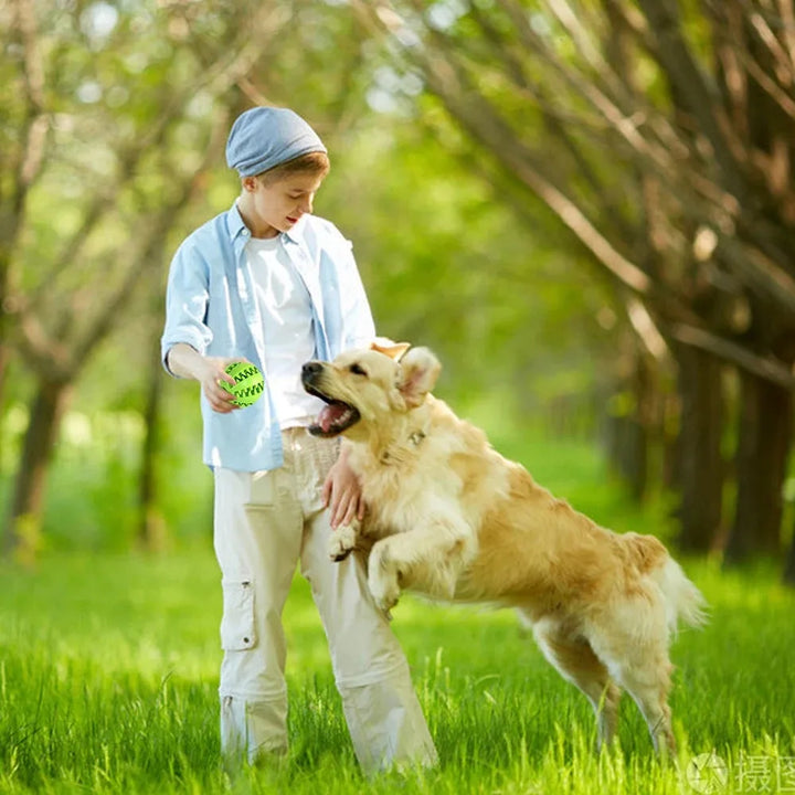 Soft Elastic Chew Ball for Dogs – Distributor