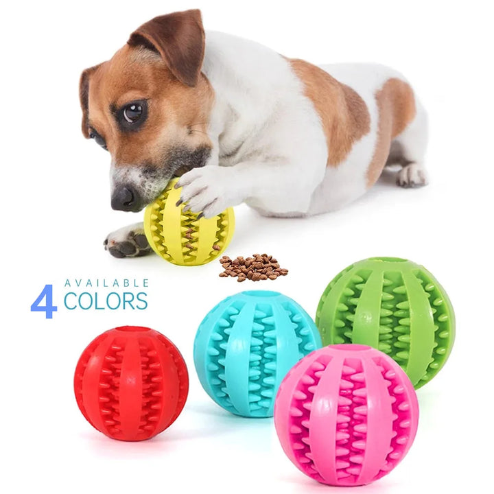 Soft Elastic Chew Ball for Dogs – Distributor