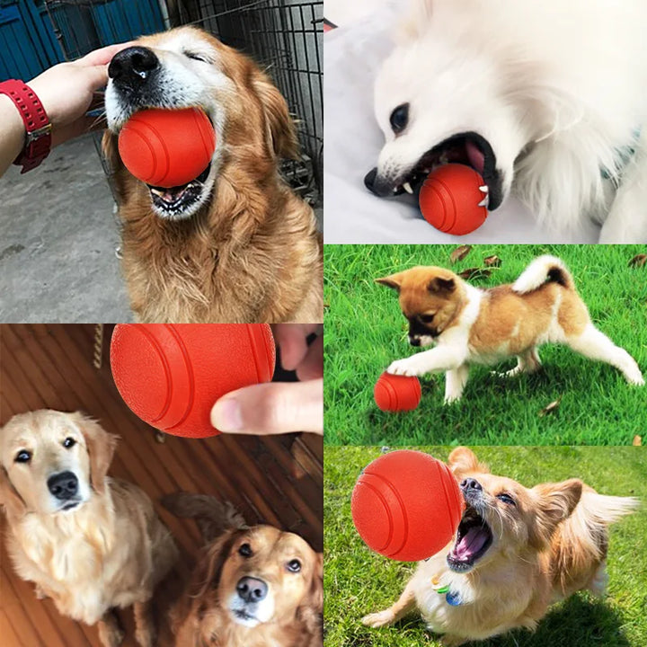 HOOPET Dog Toy Rubber Ball Bite Resistant Ball Toy