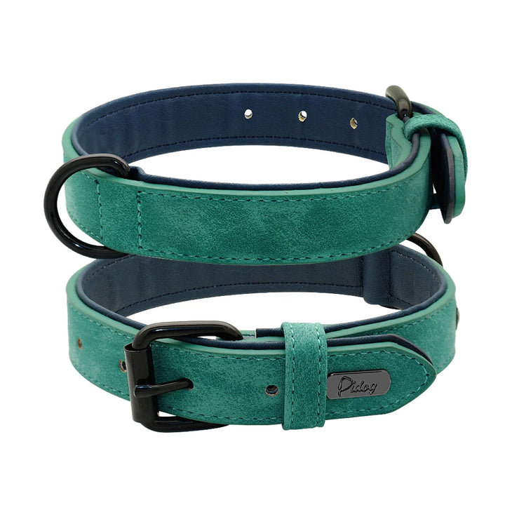 Large dog collar, soft padded collar, durable