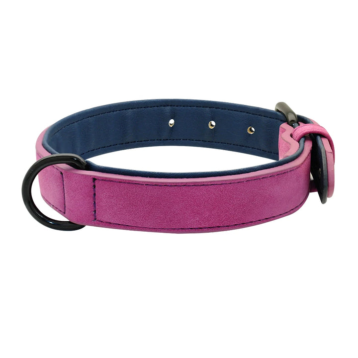 Large dog collar, soft padded collar, durable