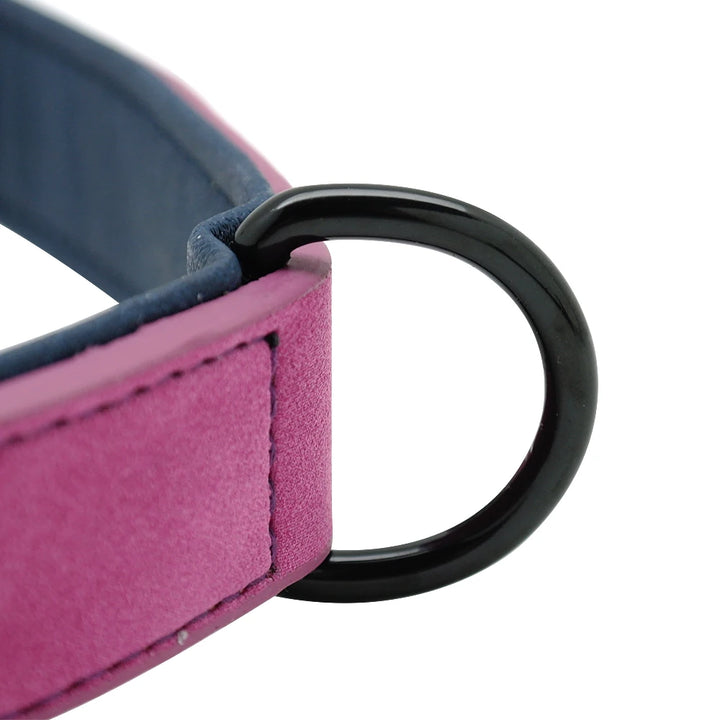 Large dog collar, soft padded collar, durable