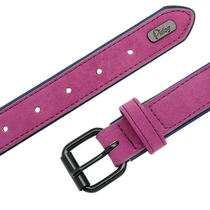 Large dog collar, soft padded collar, durable