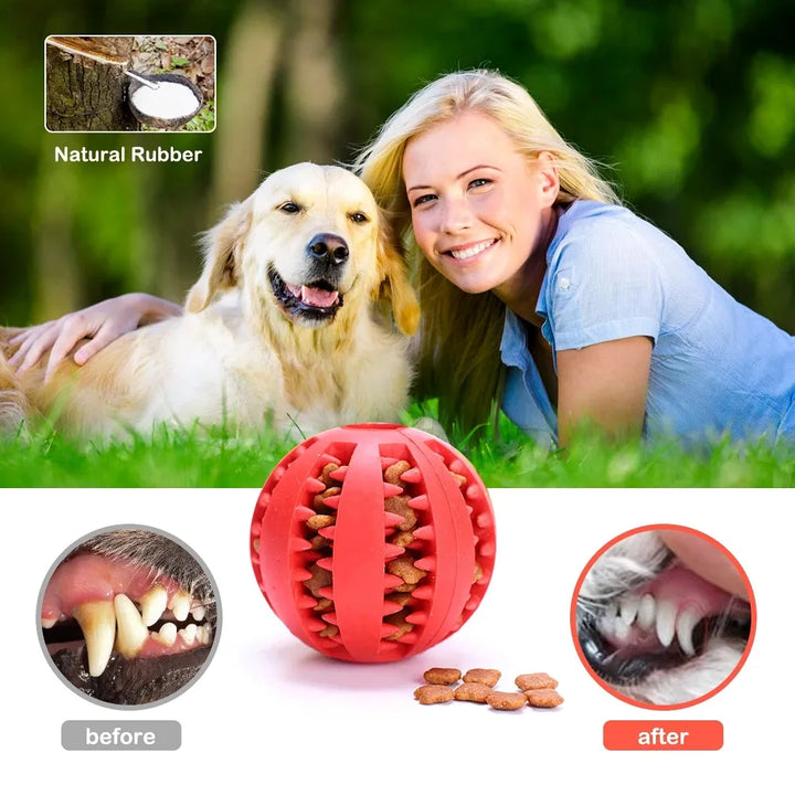 Soft Elastic Chew Ball for Dogs – Distributor