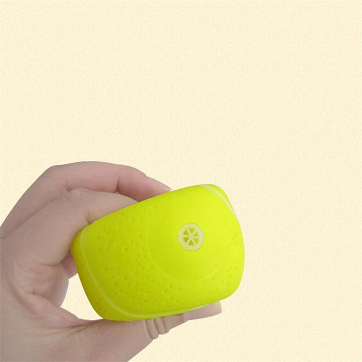 Squeaky Rubber Dog Ball – Fun & Durable Toy for Small Dogs!