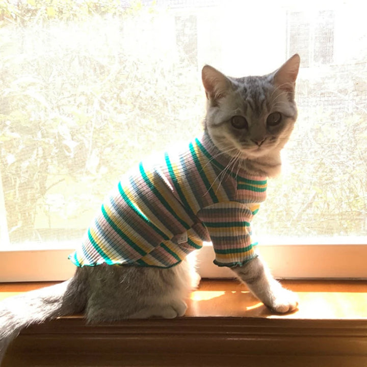 Colorful Stripe Sphynx Cat Vest Shirt for Small Cats Katten Kedi Cotton Puppy Dog Pet Clothes mascotas Clothing ropa para gatos