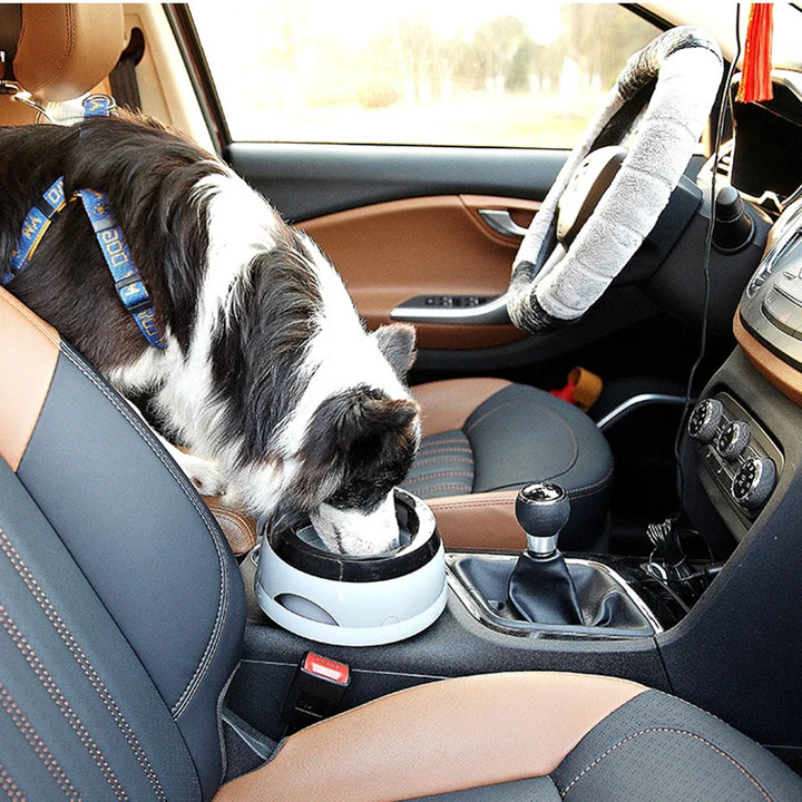 Floating, non-wetting pet dog and cat bowls