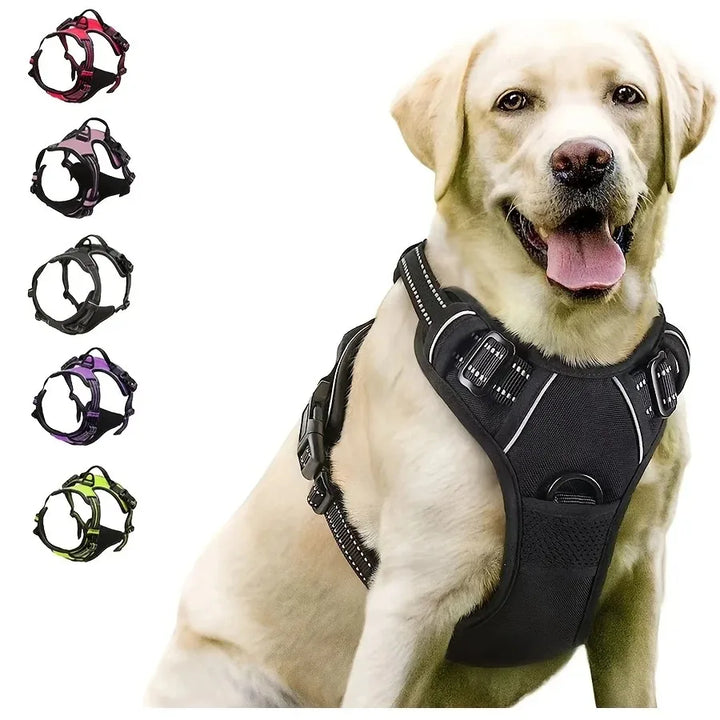 Dog Collars Harnesses Large Vests Pet Leash