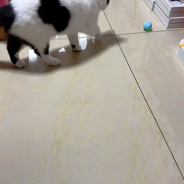 Smart Interactive Cat Ball - Electronic Rolling Toy