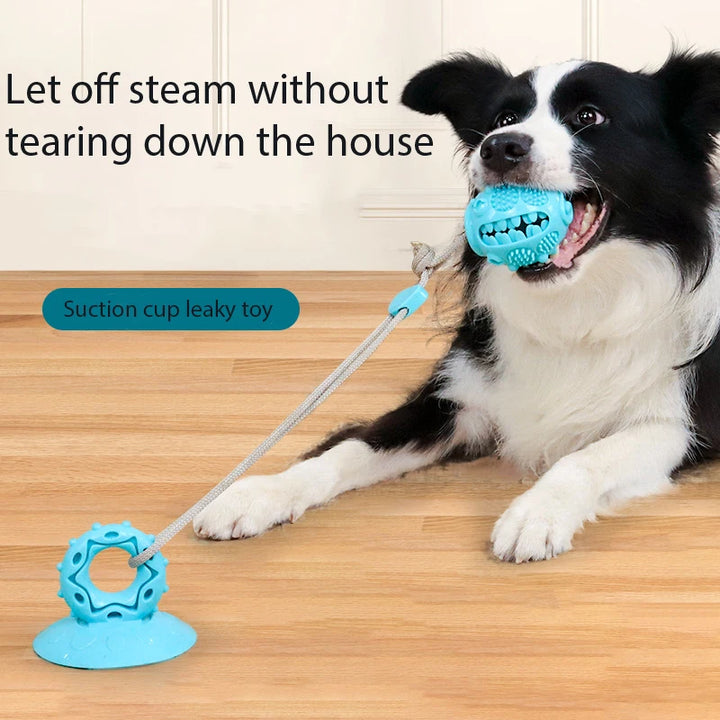 Suction Cup Tug Toy – The Ultimate Chew and Tug Game