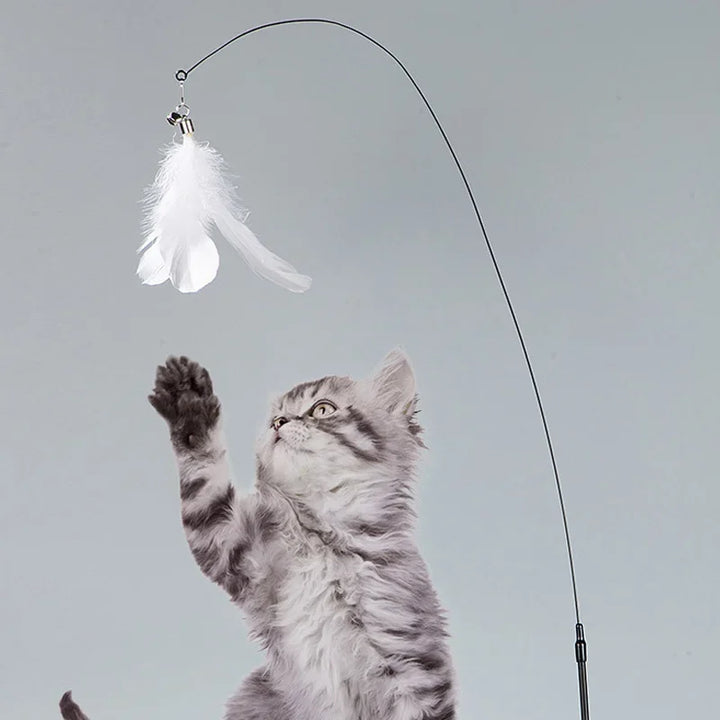 Cats Toys Feathers Wand Interactive Toy Kitten Toys with Super Suction Cup Detachable Feather Replacements Cat Accesorios