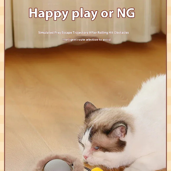 Interactive Electric Cat Ball – USB Rechargeable Toy