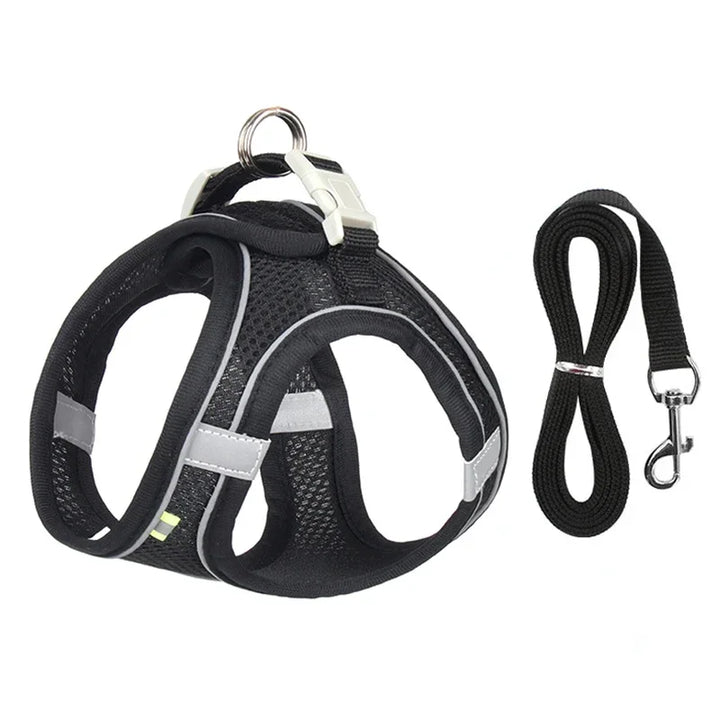 Stylish adjustable harness kit for small dogs