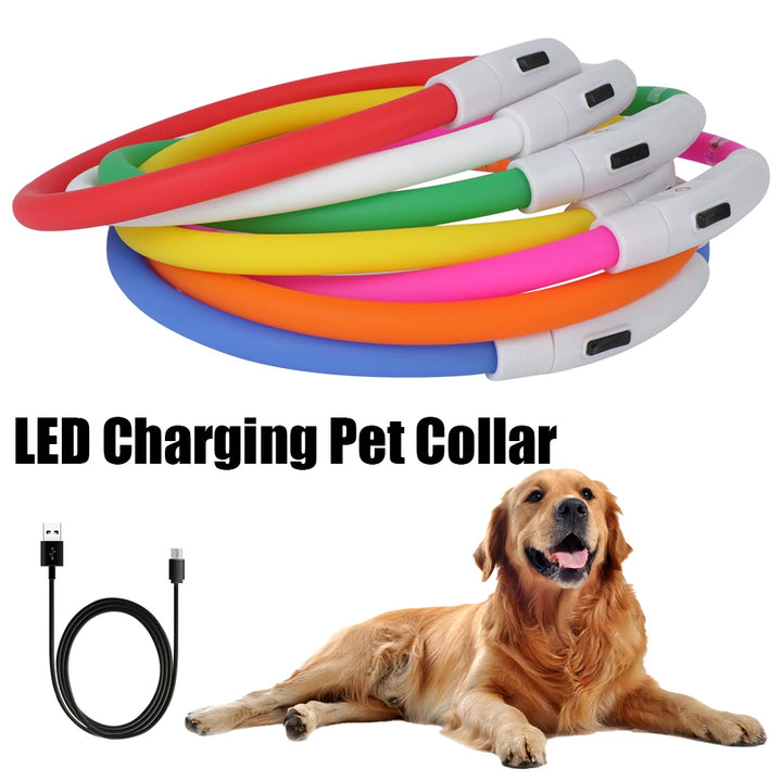 Night Luminous LED USB Charging Collar Dog Collar