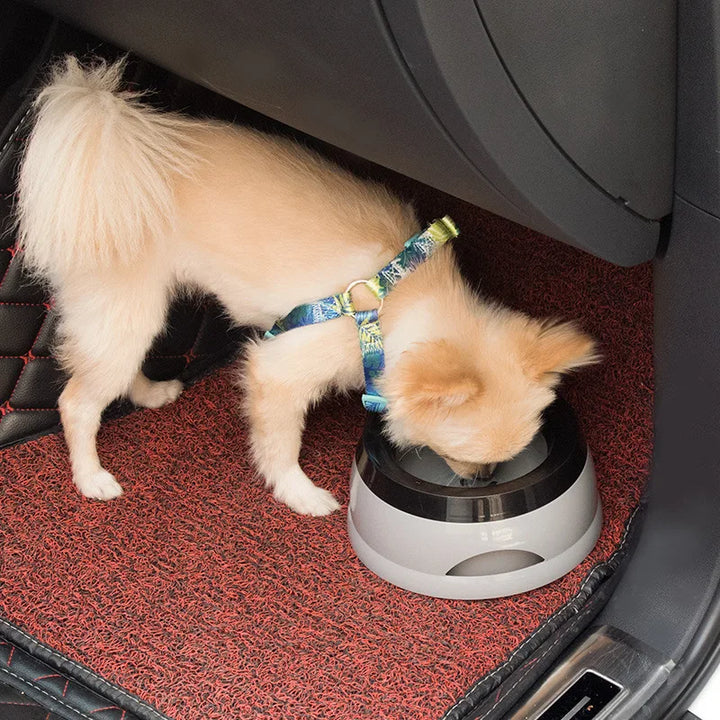 Pet Dog Bowls Floating Cat Bowl Does Not Wet