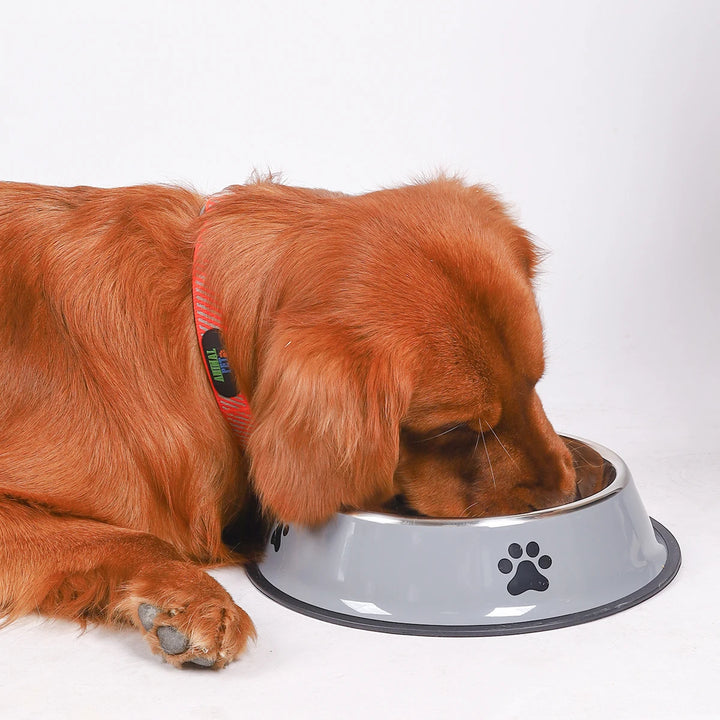 Stainless Steel Pet Bowl – Durable Food Bowl