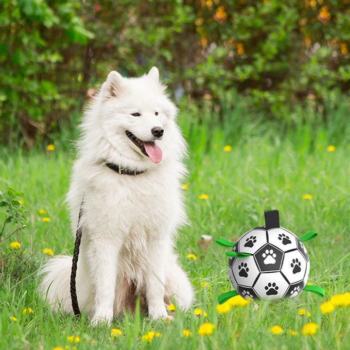 Interactive Soccer Ball for Dogs – High Jumping Fun for Pets