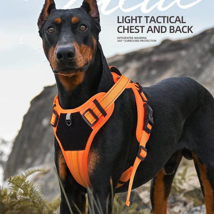 Pet Harness, Multifunctional Harness