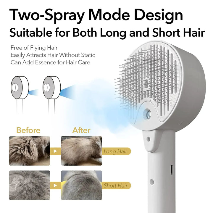 USB Rechargeable Pet Steam Brush – Brush