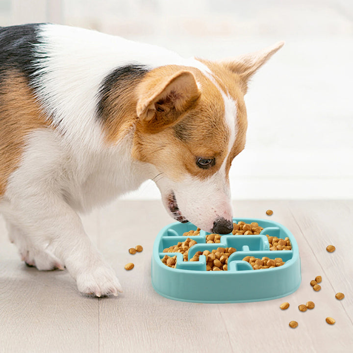 Pet Dog Slow Feeder Bowl, Fun, Non-Slip, Anti-Swallowing