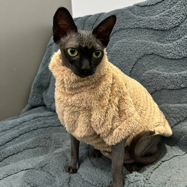 Pet Cat Sweater Home Fur Autumn and Winter Warm Solid Color Soft Arctic Velvet Skincare Suitable for Devonshire Cats, Hairless C