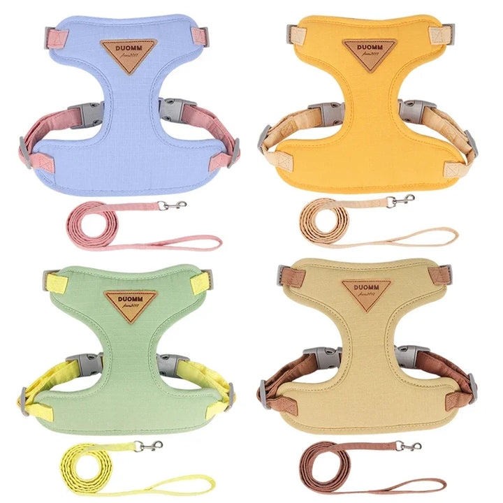 Collar and harness set for small and medium dogs