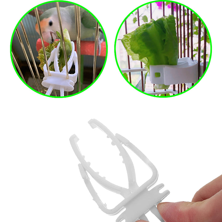 Cute Small Pet Bird Food Holder – Feeder