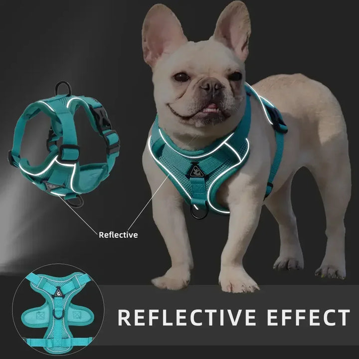 No Pull Dog Harness and Leash Set Adjustable Pet Harness Vest For Small Dogs Cats Reflective Mesh Dog Chest Strap French Bulldog