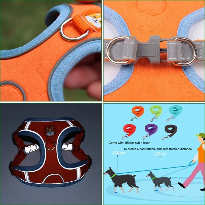 Adjustable Dog Collar Set for Small and Medium Dogs