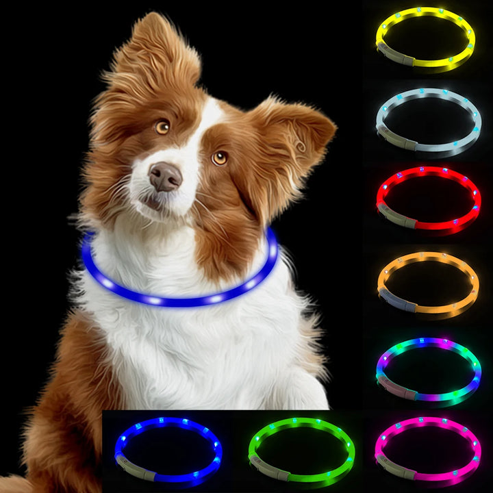 Night Luminous LED USB Charging Collar Dog Collar