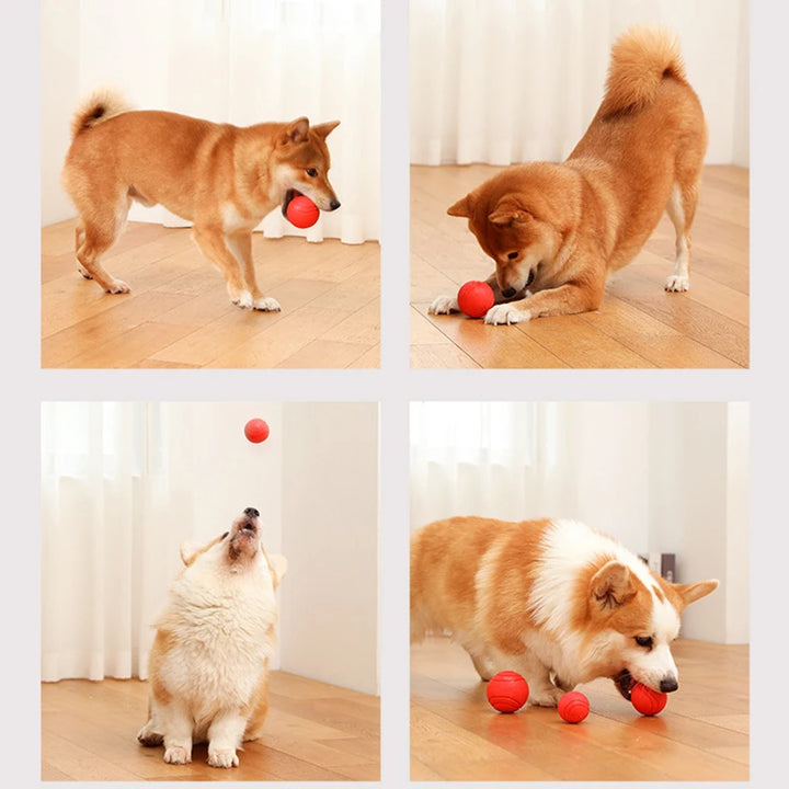 Bite Resistant Bouncy Dog Toy (S-XL)