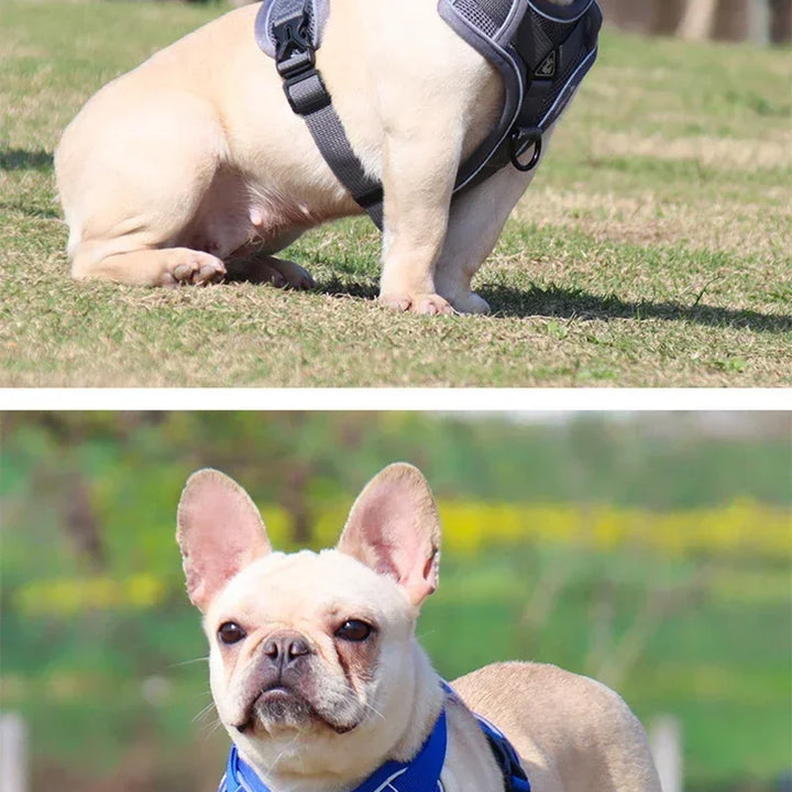 No Pull Dog Harness and Leash Set Adjustable Pet Harness Vest For Small Dogs Cats Reflective Mesh Dog Chest Strap French Bulldog