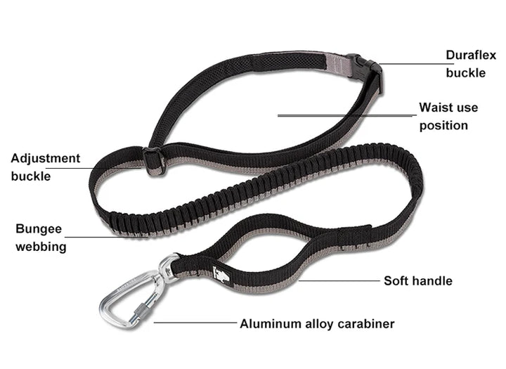 Truelove Pet Running Bungee Leash Hands Free